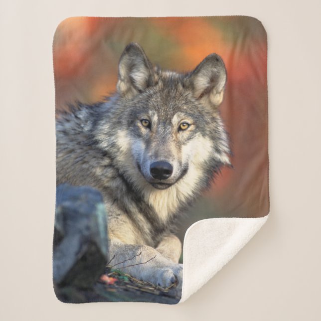 Wolf Sherpa Blanket (Front)
