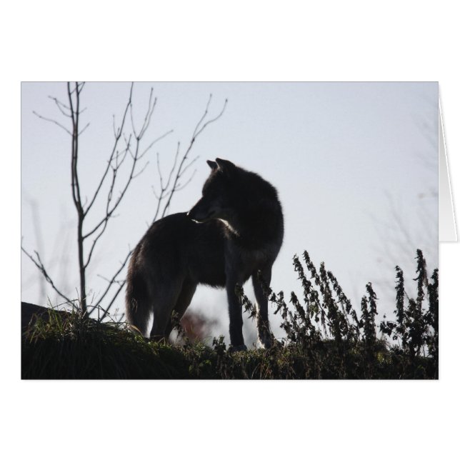 wolf silhouette (Front Horizontal)