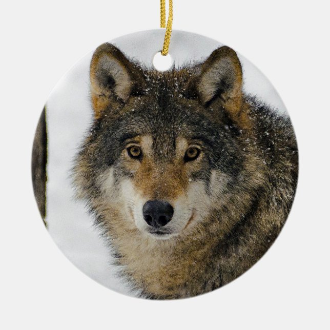 Wolf Snow Tree Photo Ceramic Tree Decoration (Front)