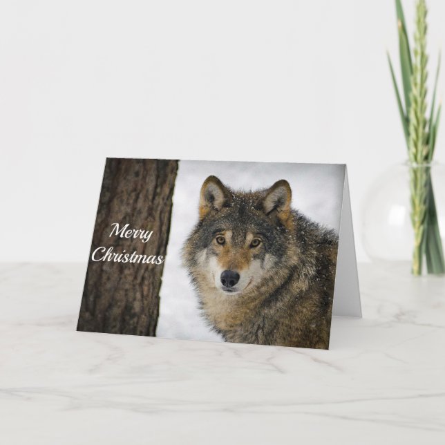 Wolf Snow Tree Photo Christmas Holiday Card (Front)