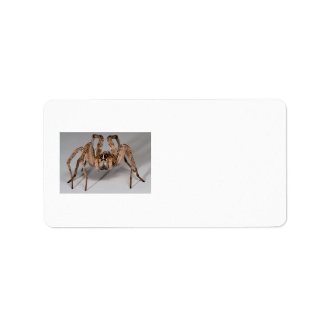 Wolf Spider Label (Front)