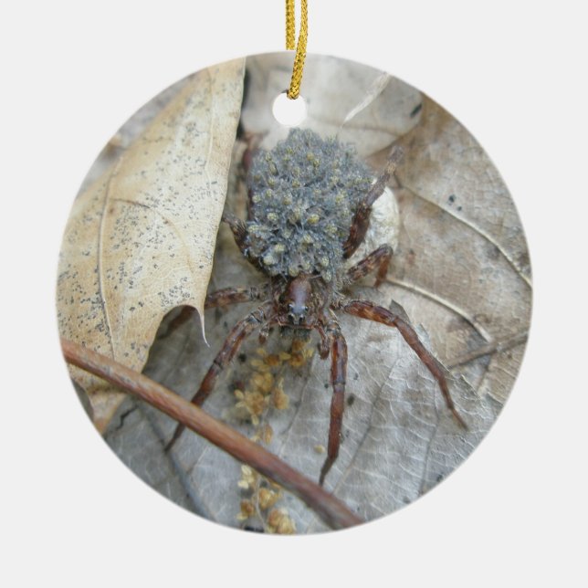 Wolf Spider with Spiderlings & Egg Case Ornament (Front)