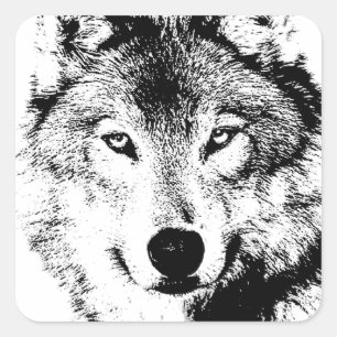 Wolf Square Sticker