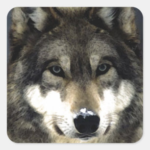 Wolf Square Sticker