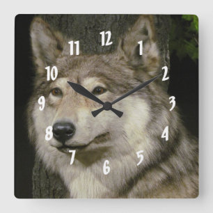 Wolf Square Wall Clock