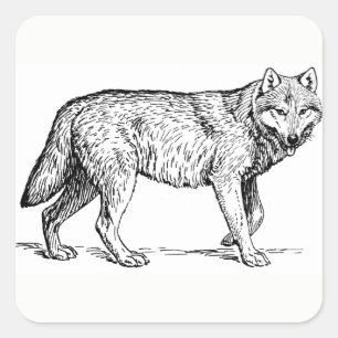Wolf Stickers