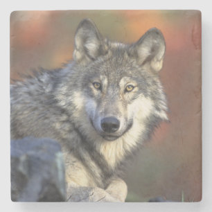 Wolf Stone Coaster