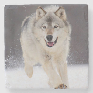 Wolf Stone Coaster
