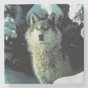 Wolf Stone Coaster