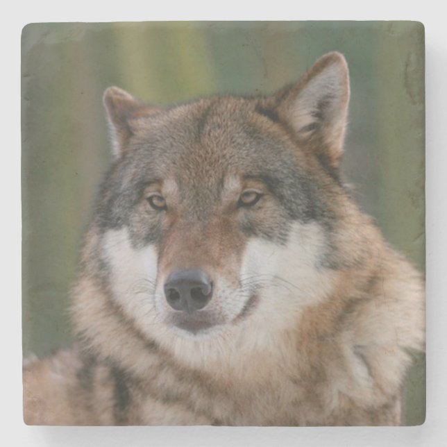 Wolf Stone Coaster (Front)