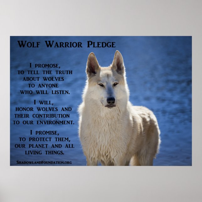 Wolf Warrior Poster (Front)