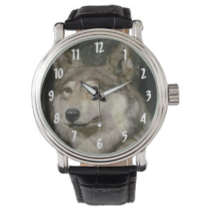 Wolf Watch