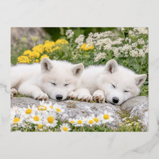 Wolf Wild Animal Loving Portrait Foil Holiday Postcard