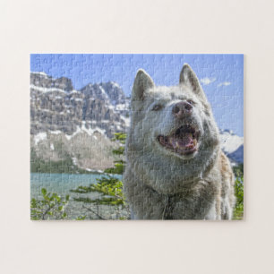 Wolf Wild Life Canada. Jigsaw Puzzle