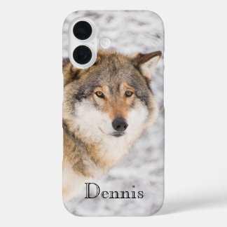 Wolf winter forest iPhone 16 case