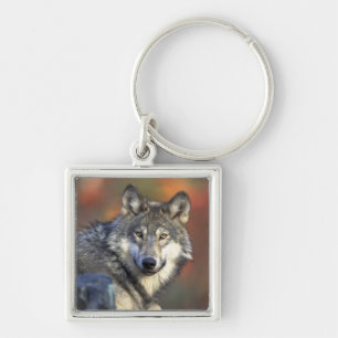Wolf Wisdom Key Ring