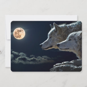 Wolf Wolves Howling at the Full Moon at Night