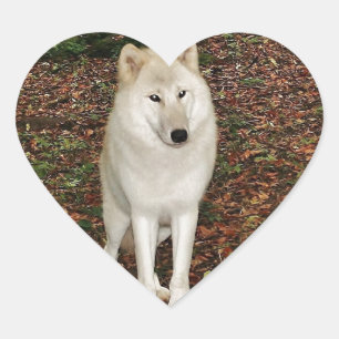 Wolf Wolves Nature Park Country Animal Wild Forest Heart Sticker