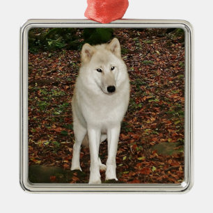 Wolf Wolves Nature Park Country Animal Wild Forest Metal Tree Decoration