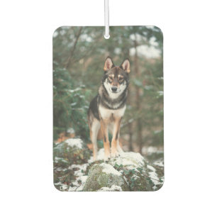 Wolfdog Car Air Freshener