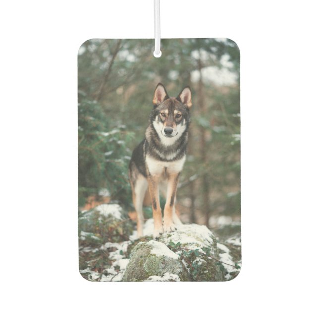 Wolfdog Car Air Freshener (Front)