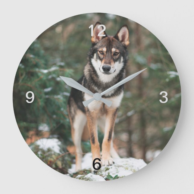 Wolfdog Large Clock (Front)