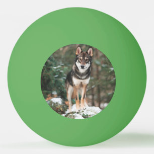 Wolfdog Ping Pong Ball