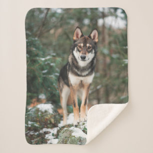 Wolfdog Sherpa Blanket