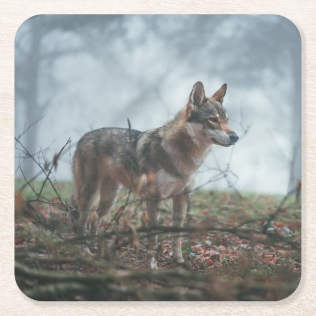 Wolfdog Square Paper Coaster (Front)