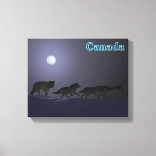 Wolfpack - Canada Canvas Print