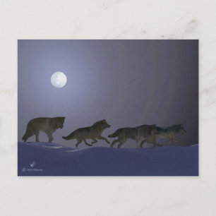 Wolfpack Postcard