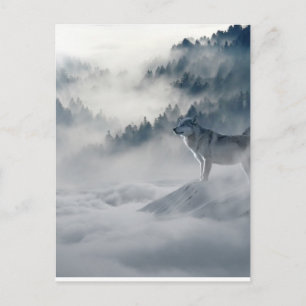 Wolfs Winter Art Photo Postcard