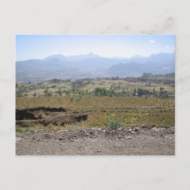 Wollo Postcard (Front)