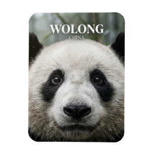 Wolong National Nature Reserve China Magnet