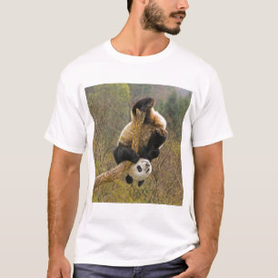 Wolong Panda Reserve, China, 2 1/2 yr old T-Shirt