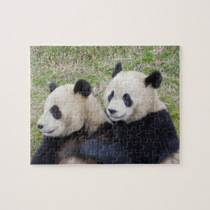 Wolong Reserve, China, Giant panda hugging Jigsaw Puzzle