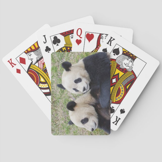 Wolong Reserve, China, Giant panda hugging Playing Cards (Back)