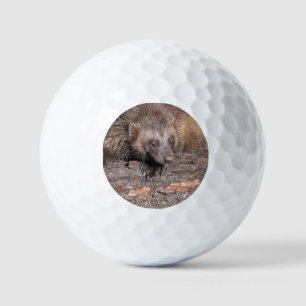 Wolverine Close Encounter Golf Balls