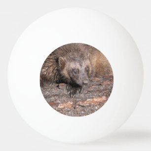 Wolverine Close Encounter Ping Pong Ball