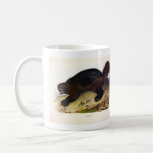 Wolverine or Wolverene (Gulo gulo) by Audubon Coffee Mug