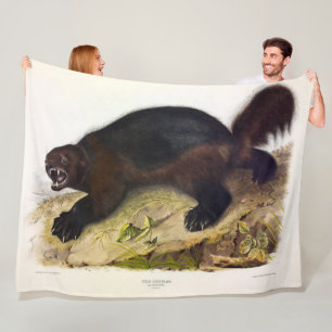 Wolverine or Wolverene (Gulo gulo) by Audubon Fleece Blanket