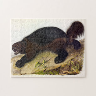 Wolverine or Wolverene (Gulo gulo) by Audubon Jigsaw Puzzle