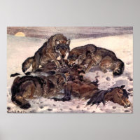 Wolves by Winifred Austen, Vintage Wild Animals