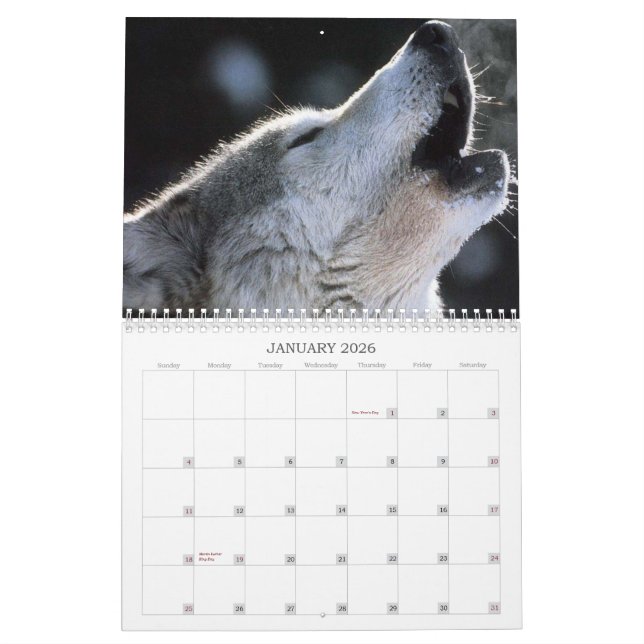 Wolves Calendar (Jan 2026)