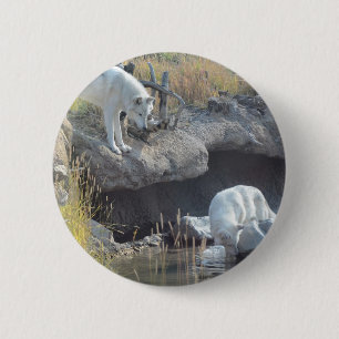 Wolves Forest Nature Country Peace Love Animal 6 Cm Round Badge