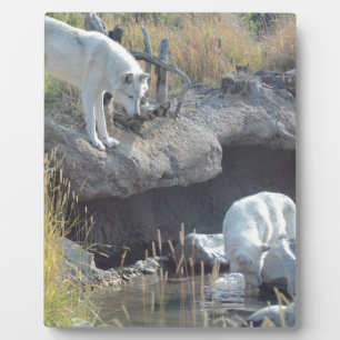 Wolves Forest Nature Country Peace Love Animal Plaque