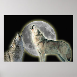 Wolves Howling at Moon Canvas Print