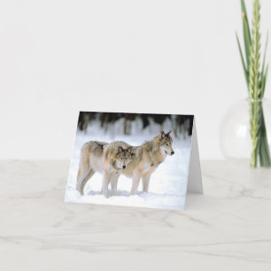 WOLVES IN SNOW  HOLIDAY CARD