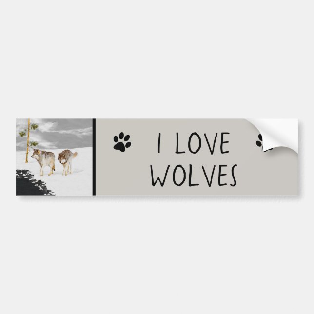 Wolves in Snow Painting - Original Wildlife Art Bumper Sticker (Front)