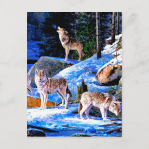 Wolves in snow painting postcard